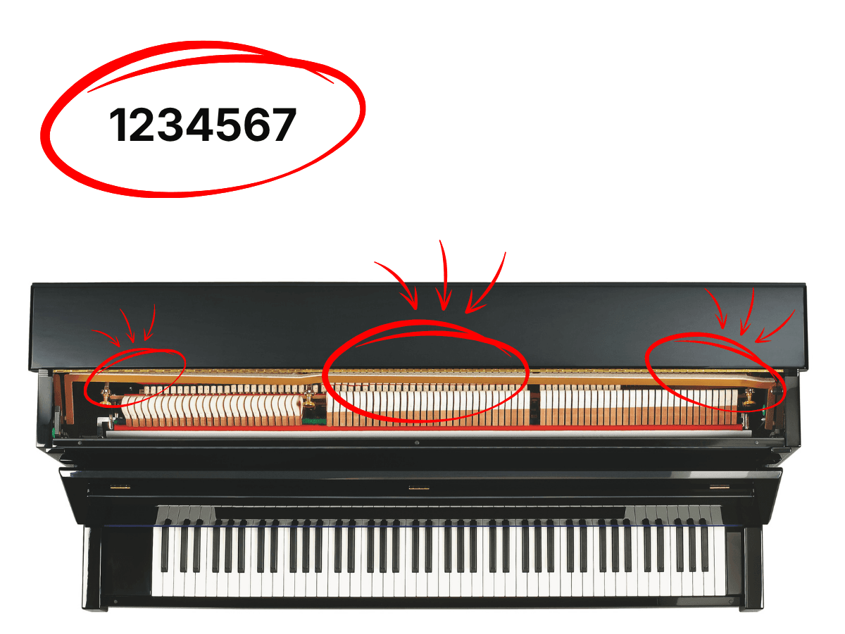 Ein aufrecht stehendes Klavier, bei dem die Positionen der Seriennummern im Inneren des Deckels eingekreist sind.