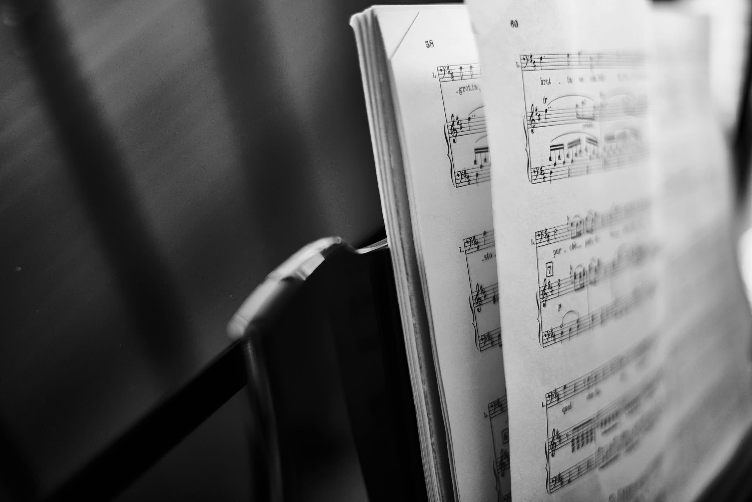 Der mächtige Steinway Modell D